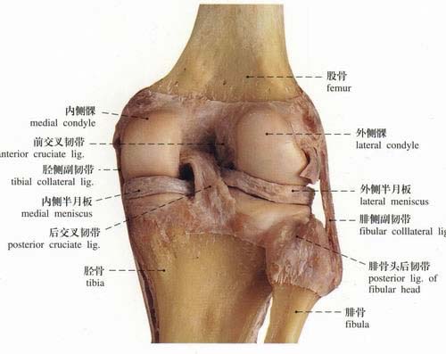 隆回长岭中医医院,隆回颈椎病,隆回腰椎病,隆回关节病,隆回风湿病,隆回股骨头坏死