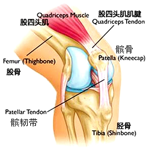 隆回长岭中医医院,隆回颈椎病,隆回腰椎病,隆回关节病,隆回风湿病,隆回股骨头坏死